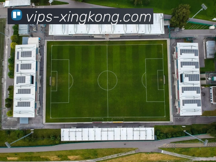 星空体育官网平台生态图