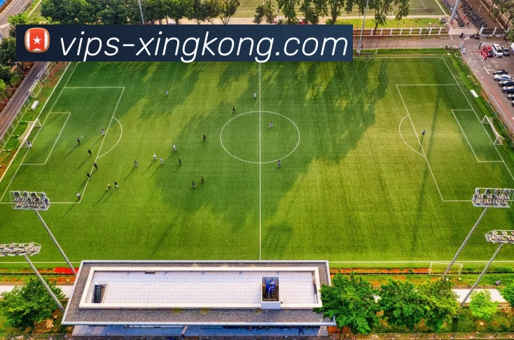 星空体育官网APP 封面图